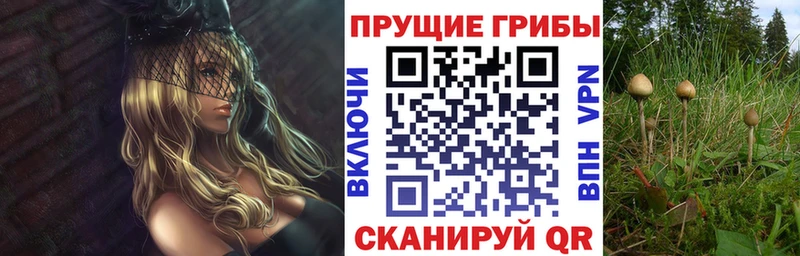 Купить  Гагарин  Псилоцибиновые грибы прущие грибы 
